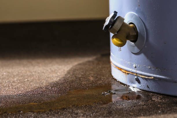 Best Water damage repair service  in Burt, MI