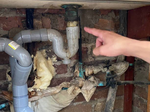 Best Flood damage cleanup  in Burt, MI